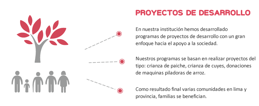 Apoyo Social Individual Donaciones Perú